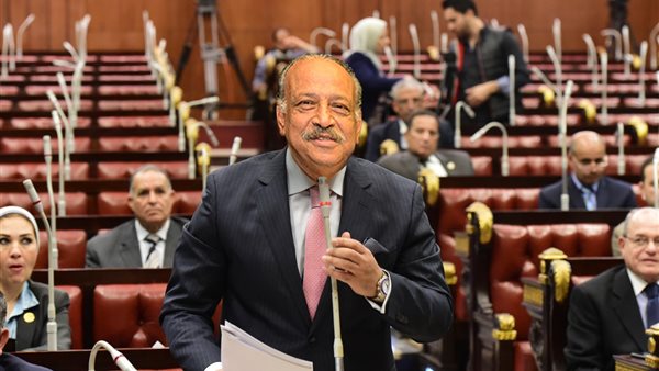 النائب هاني العسال