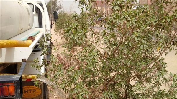 تشجير مداخل قرى سوهاج