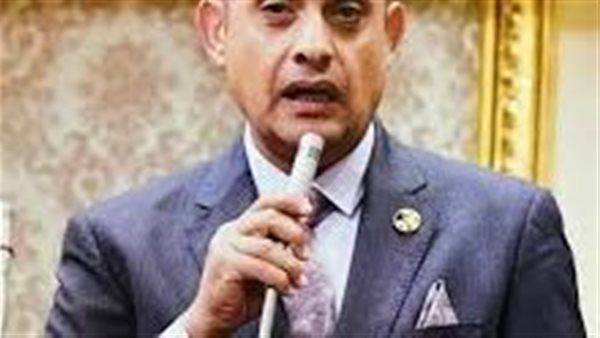 النائب هشام الجاهل