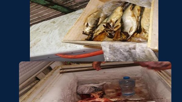 جانب من المضبوطات