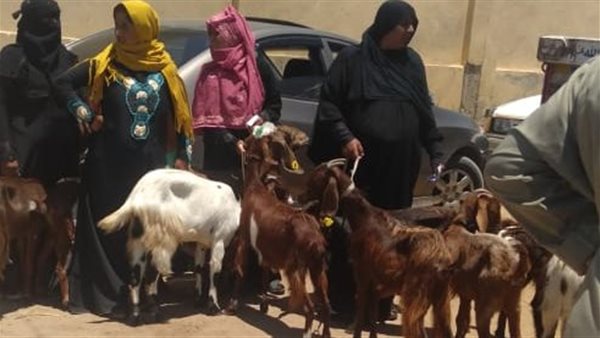 المستفيدين من تكامل