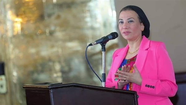 ياسمين فؤاد وزيرة