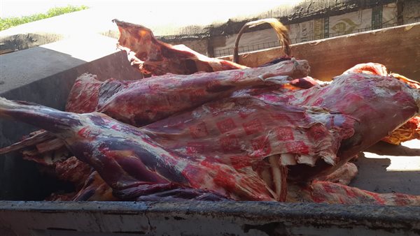 ضبط لحوم غير صالحة