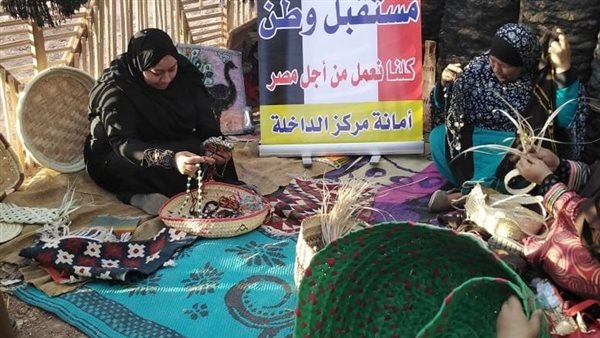 أنشطة مستقبل وطن