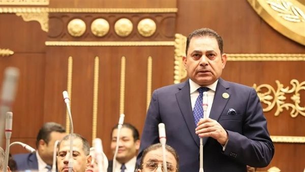 النائب فرج فتحي 