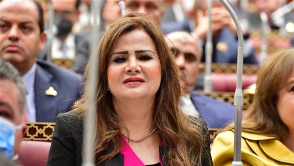 النائبة أمل رمزي