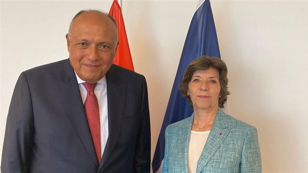 سامح شكري يلتقي وزيرة