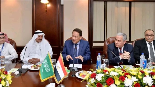 جانب من اللقاء 