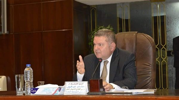 وزير قطاع الأعمال