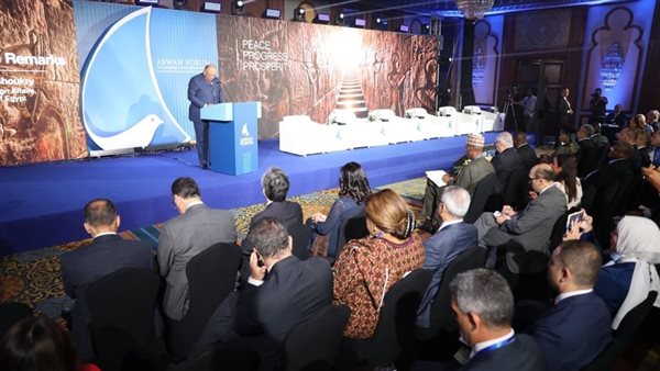 سامح شكري وزير الخارجية