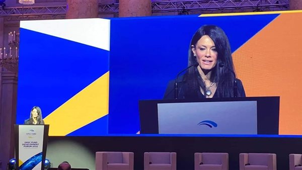  الدكتورة رانيا المشاط