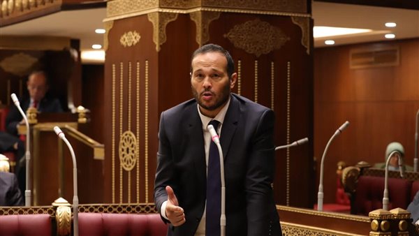 النائب محمد حلاوة