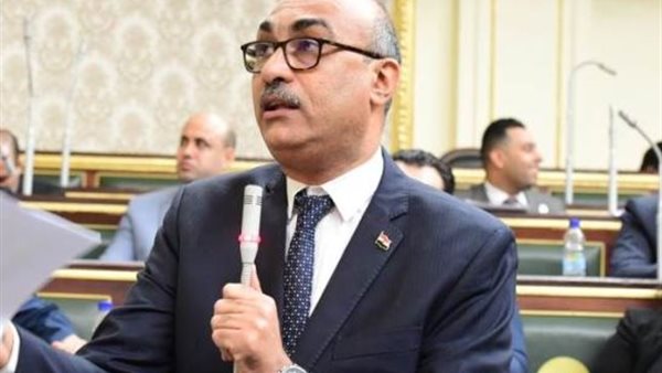  النائب المهندس إيهاب