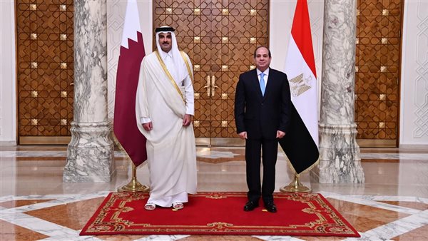 الرئيس السيسي يلتقي