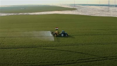مشروع الدلتا الجديدة    