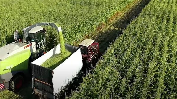 مشروع الدلتا الجديدة