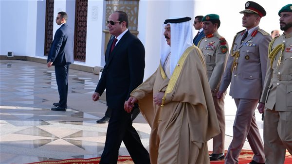 الرئيس السيسي وملك