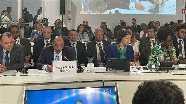 محمود شعراوي وزير