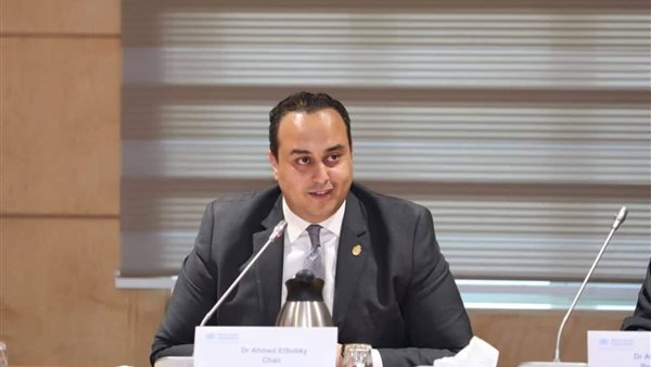 رئيس الهيئة العامة