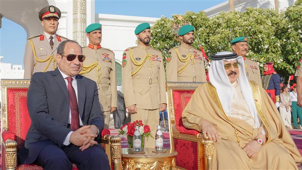 الرئيس السيسي يلتقي