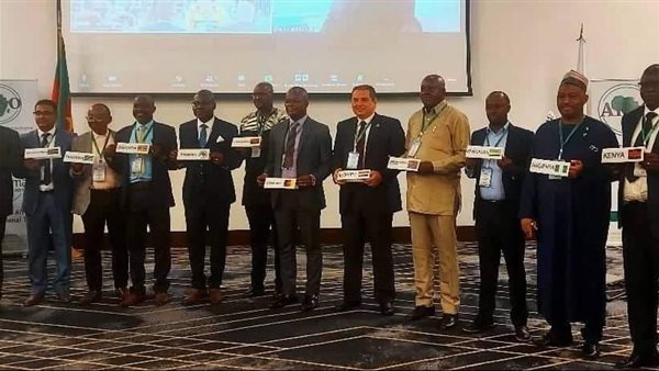 إدارة المنظمة الأفريقية