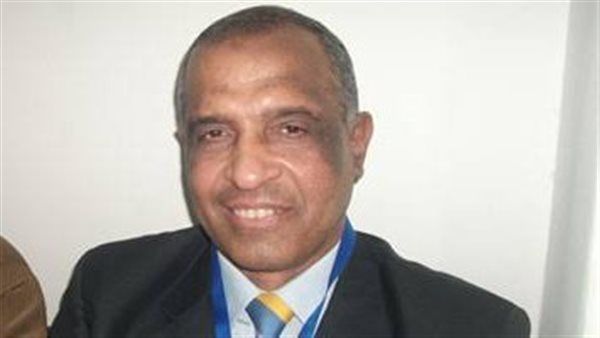 محمد غنيم رئيس البعثة