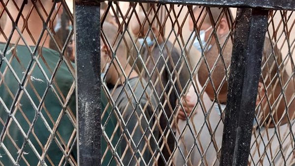 مستريح أسوان داخل