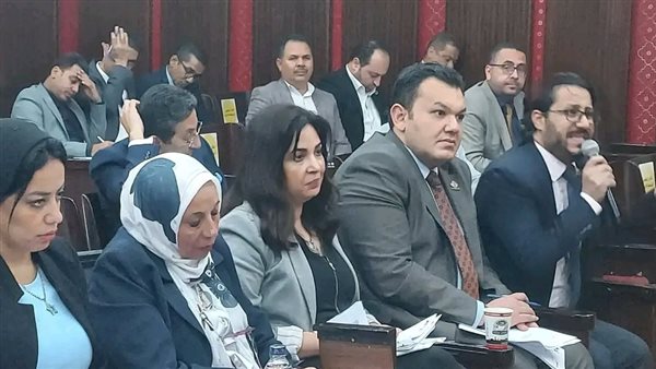 نواب تنسيقية شباب