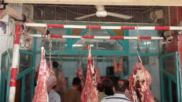 حملة تموينية 