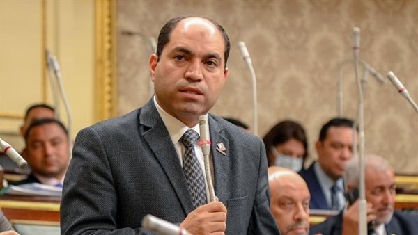 النائب عمرو درويش