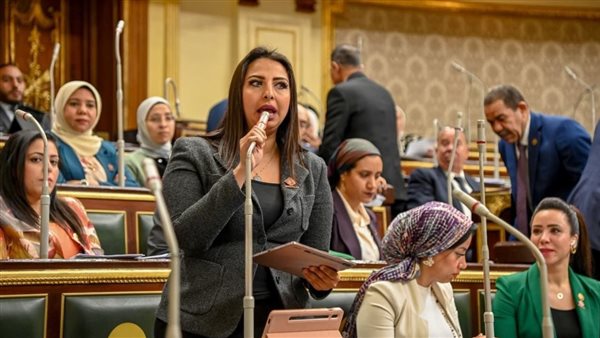 النائبة نشوى الشريف