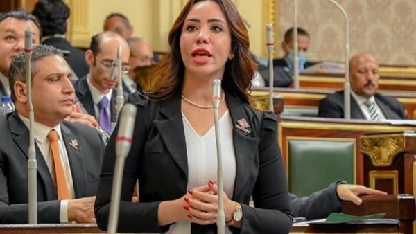 النائبة غادة علي