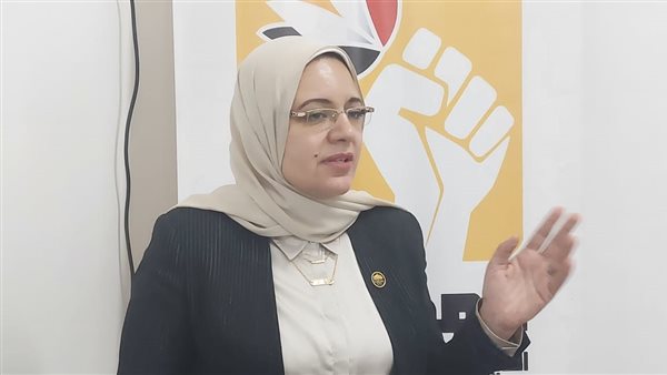 النائبة ريهام عبدالنبي