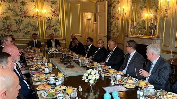 وزير الخارجية سامح