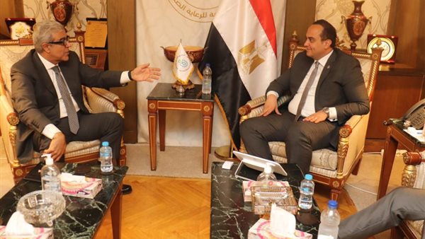 جانب من اللقاء 