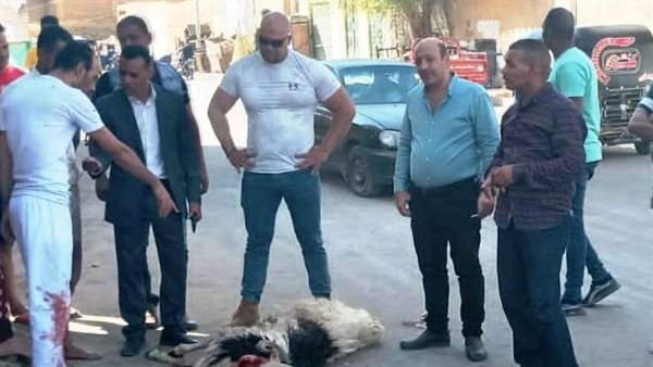 جانب من الحدث