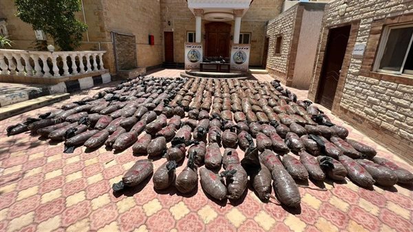 جانب من المضبوطات