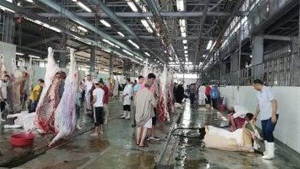 مجازر محافظة الجيزة