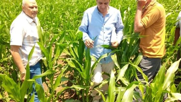 جانب من الحدث