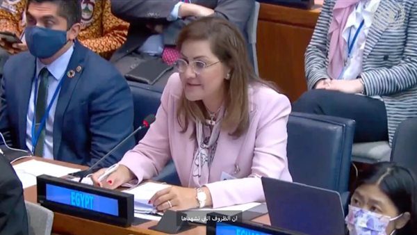 وزيرة التخطيط