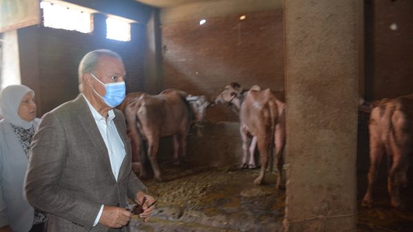 جولة المحافظ 