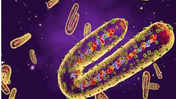 ماربورج- صورة أرشيفية