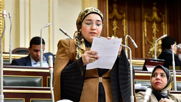 النائبة دعاء عريبي