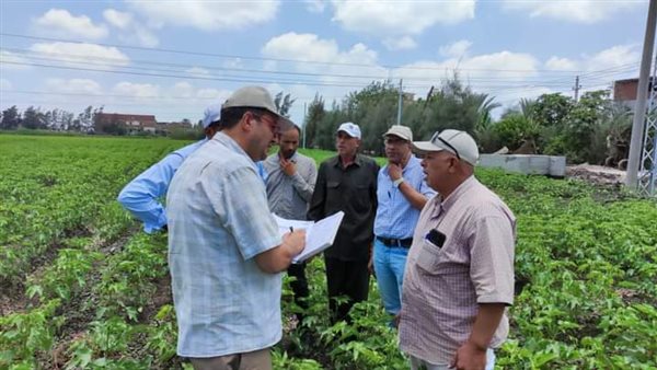 حملات وقوافل مديرية