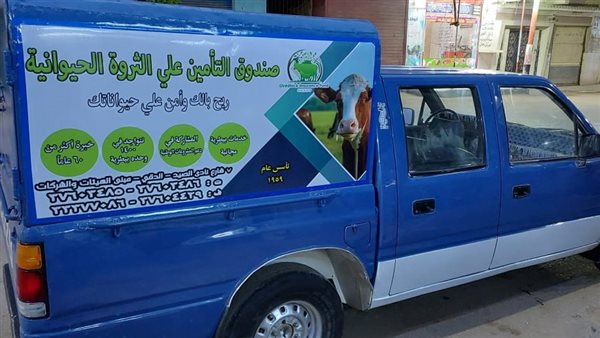 صندوق التأمين 