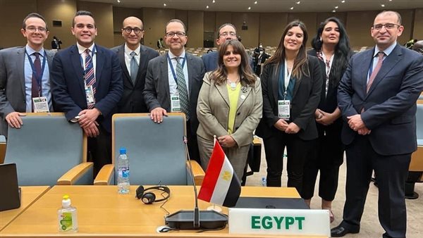 جانب من مشاركة مصر