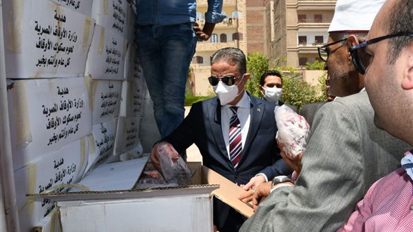 محافظ الفيوم يشهد