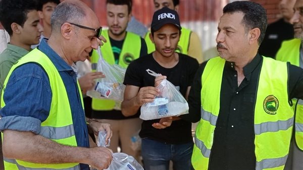 حزب مستقبل وطن 