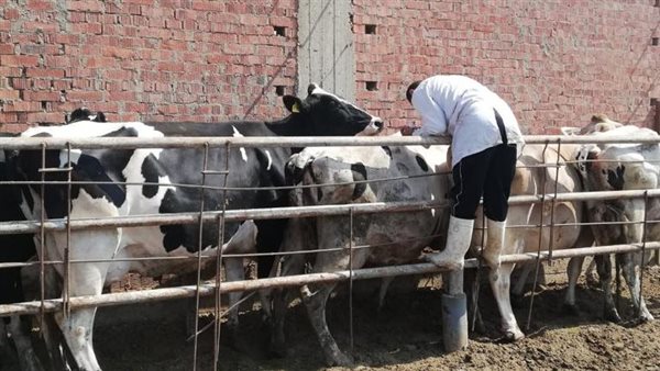 جانب من الحدث