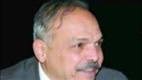 المهندس فوزى السيد